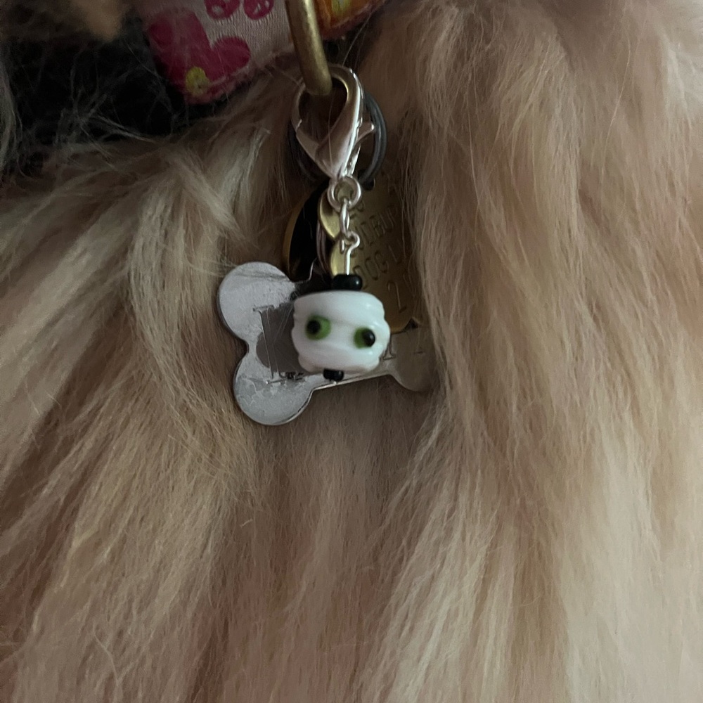 🎃Halloween/fall pet charm